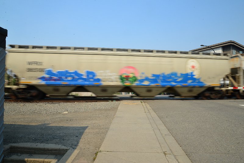 DSC_8696.JPG