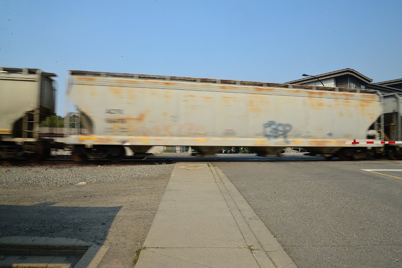 DSC_8697.JPG