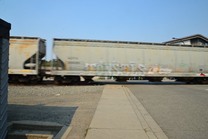 DSC_8698.JPG