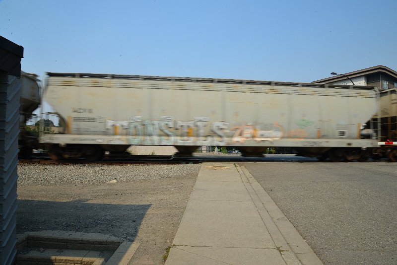 DSC_8699.JPG