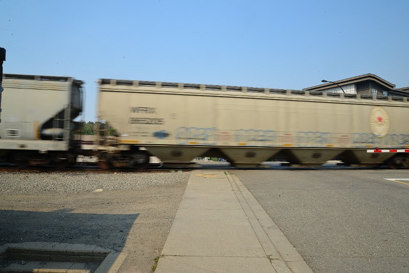 DSC_8700.JPG