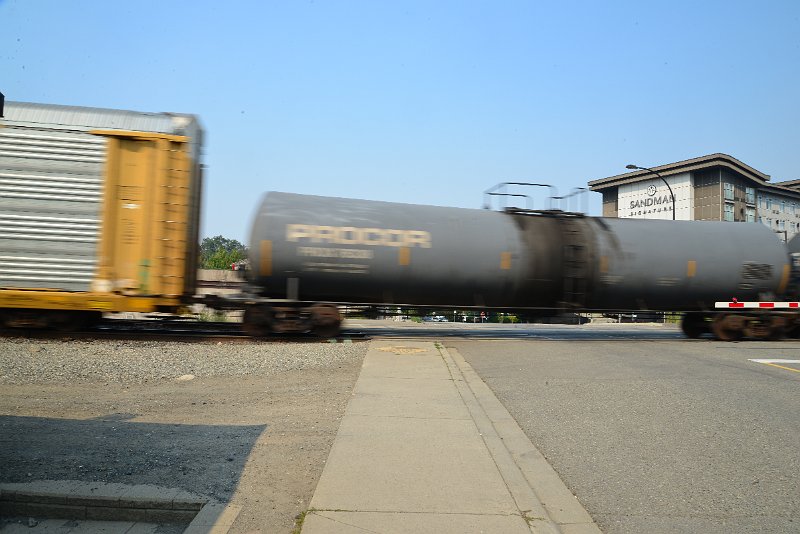 DSC_8702.JPG
