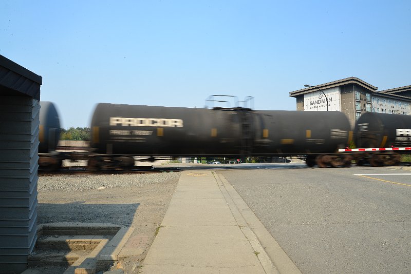 DSC_8706.JPG