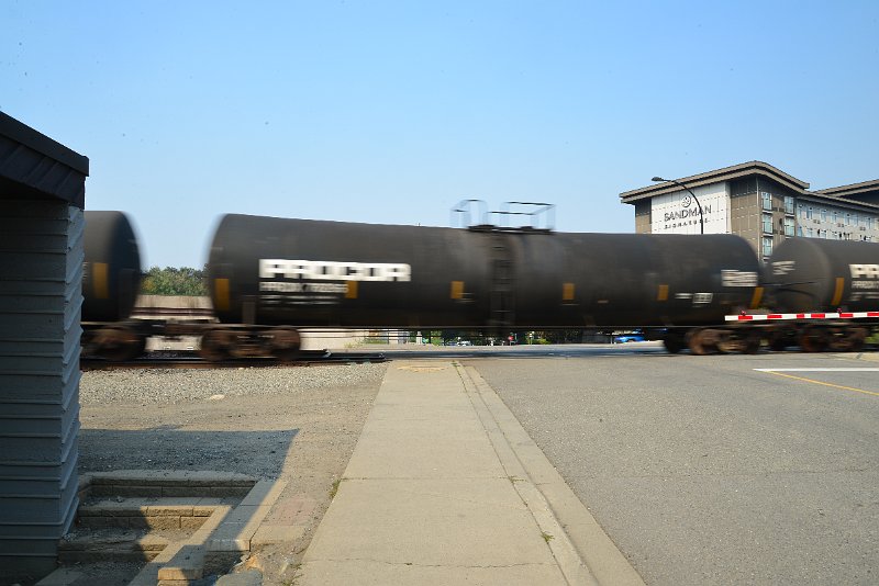 DSC_8707.JPG