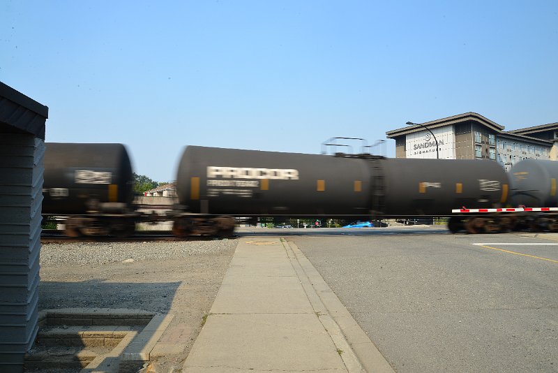 DSC_8708.JPG