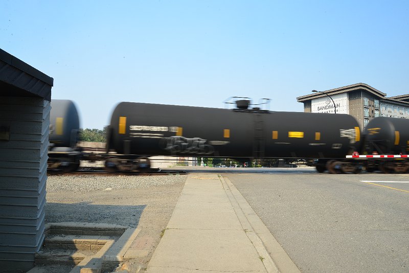 DSC_8710.JPG