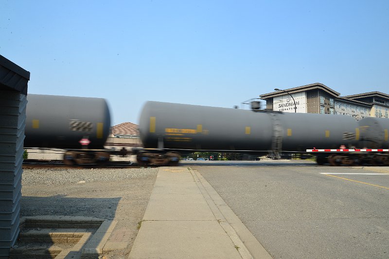 DSC_8715.JPG