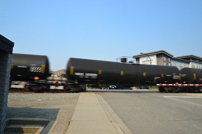 DSC_8725.JPG