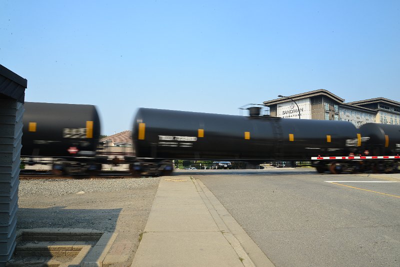 DSC_8731.JPG