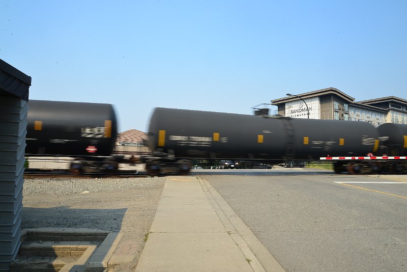 DSC_8733.JPG