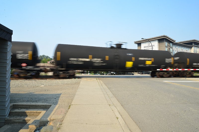 DSC_8742.JPG