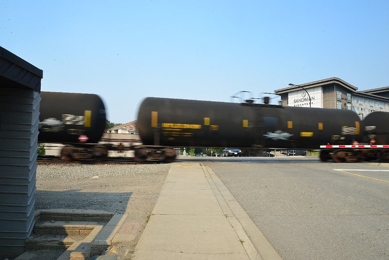 DSC_8745.JPG
