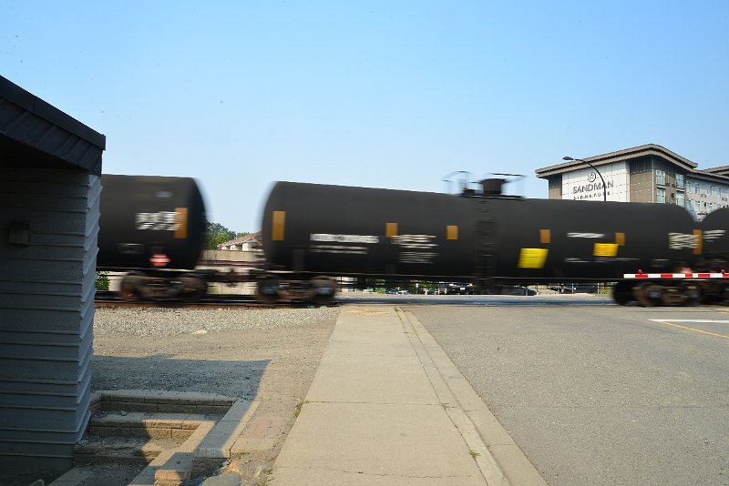 DSC_8749.JPG