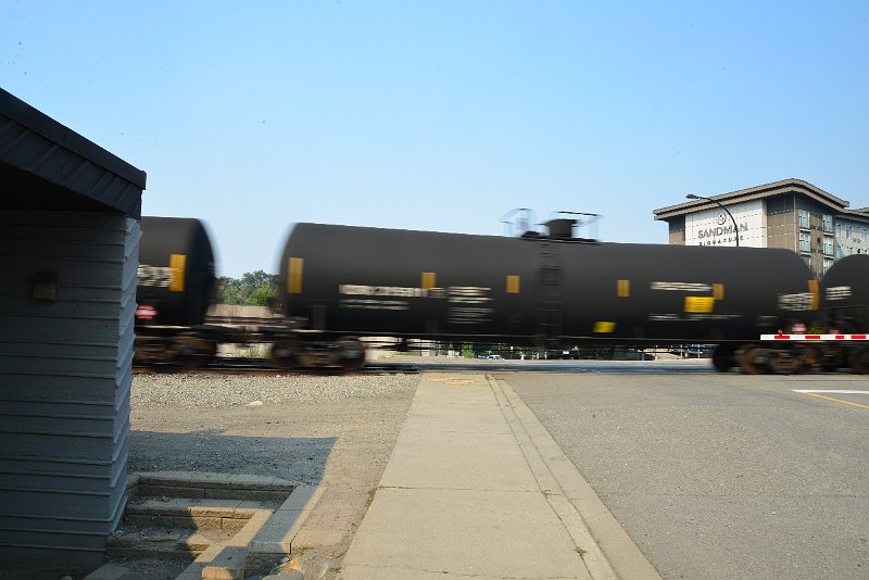 DSC_8755.JPG