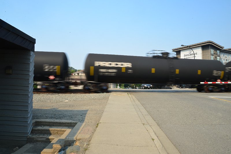 DSC_8764.JPG