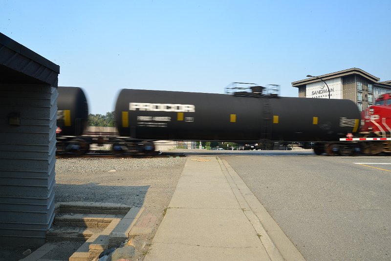 DSC_8766.JPG