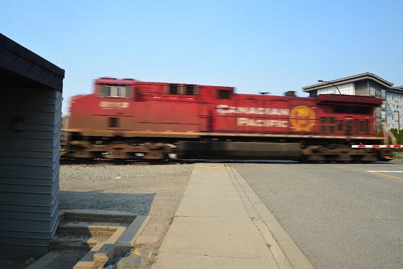 DSC_8767.JPG