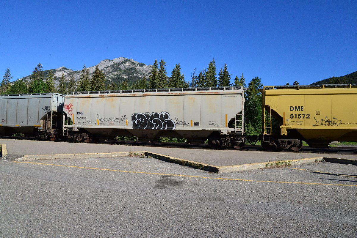 DSC_2219.JPG