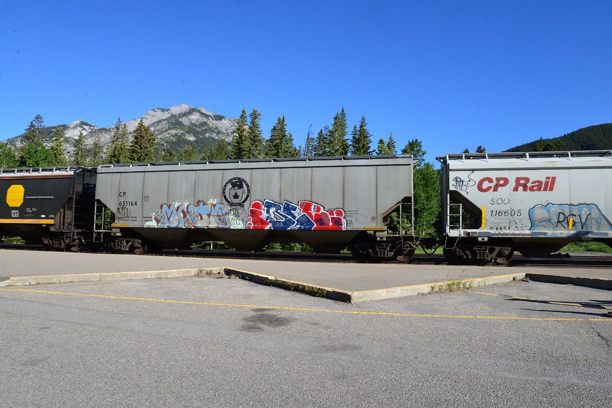 DSC_2226.JPG