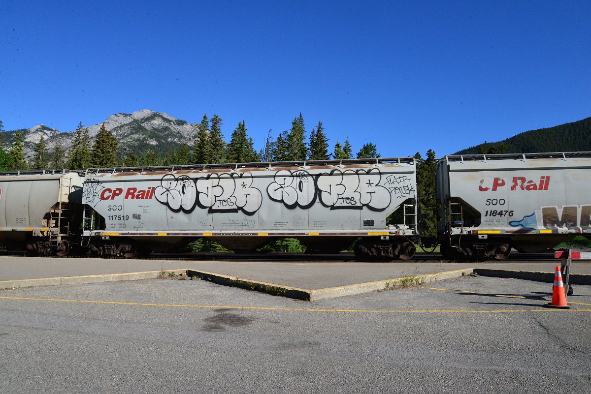 DSC_2237.JPG