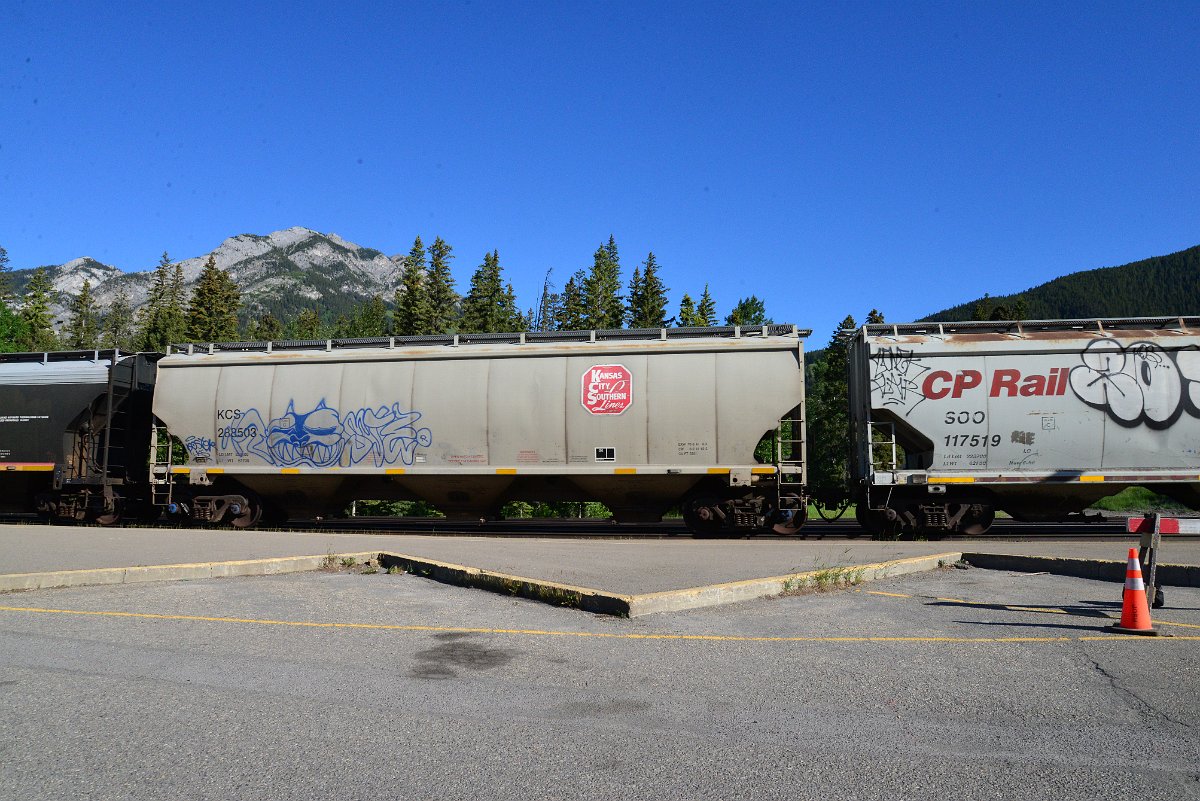 DSC_2238.JPG