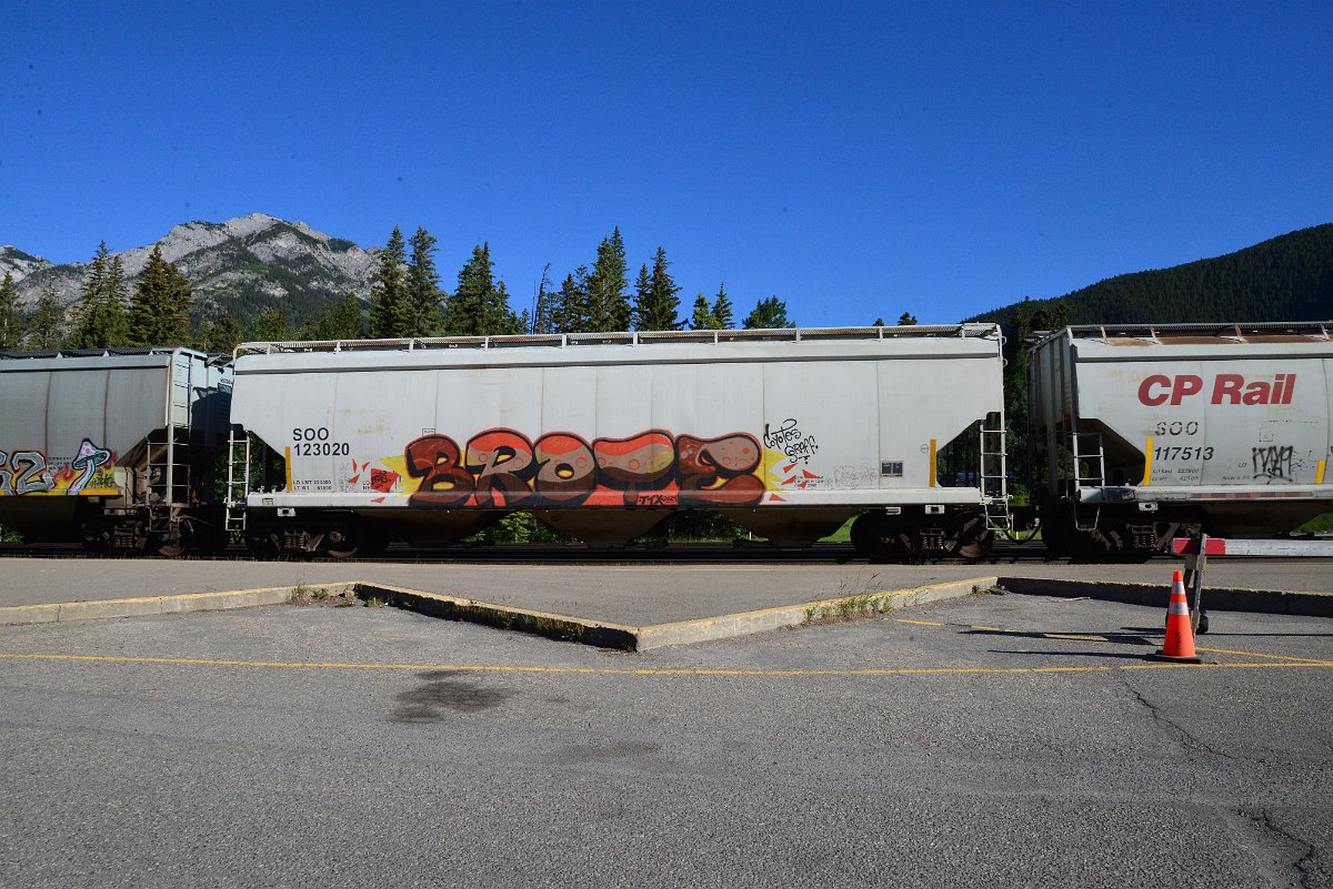 DSC_2273.JPG
