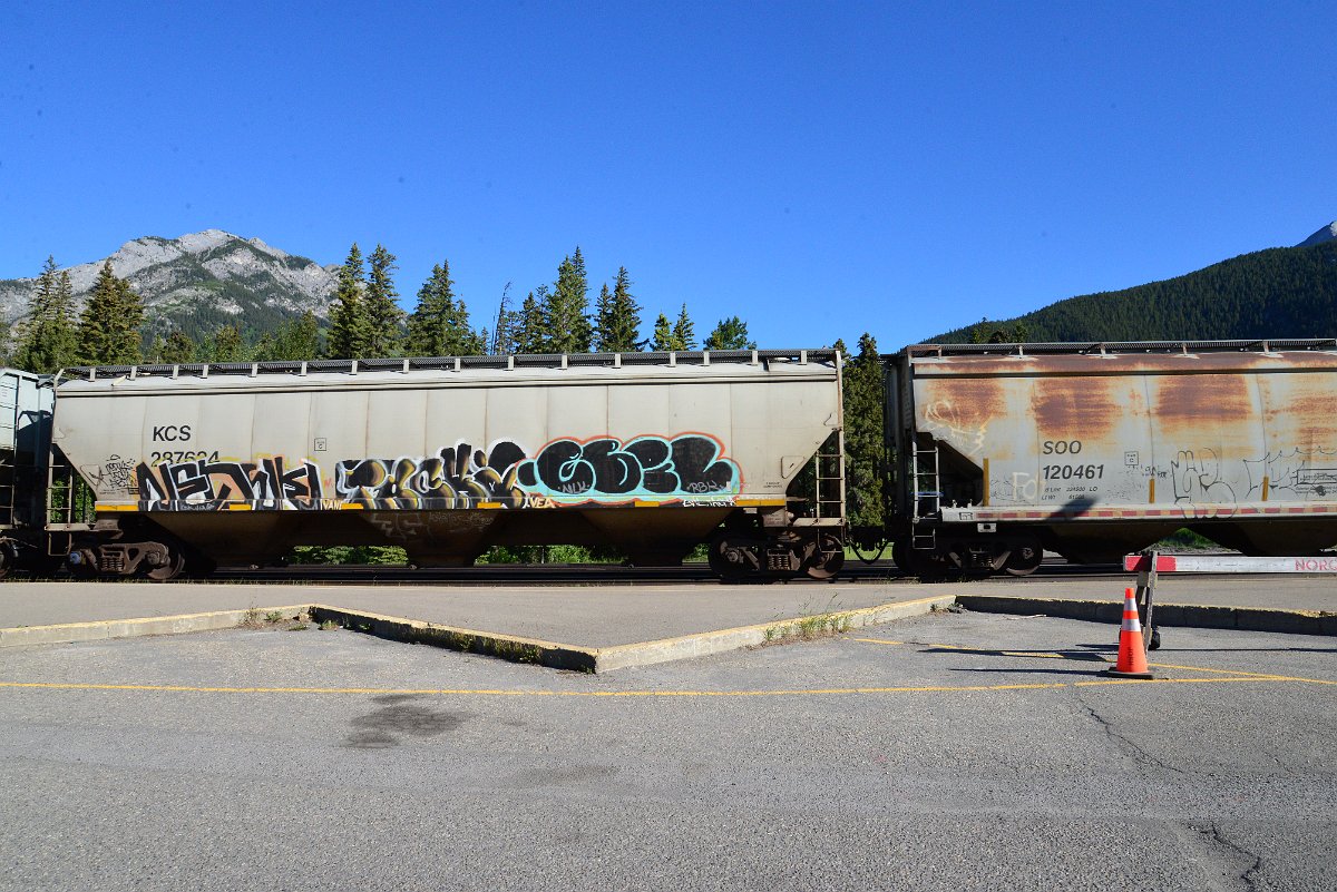 DSC_2308.JPG