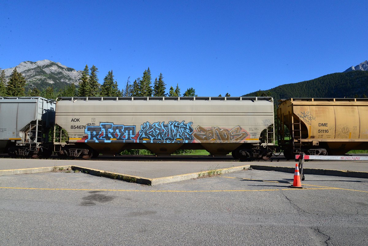DSC_2355.JPG