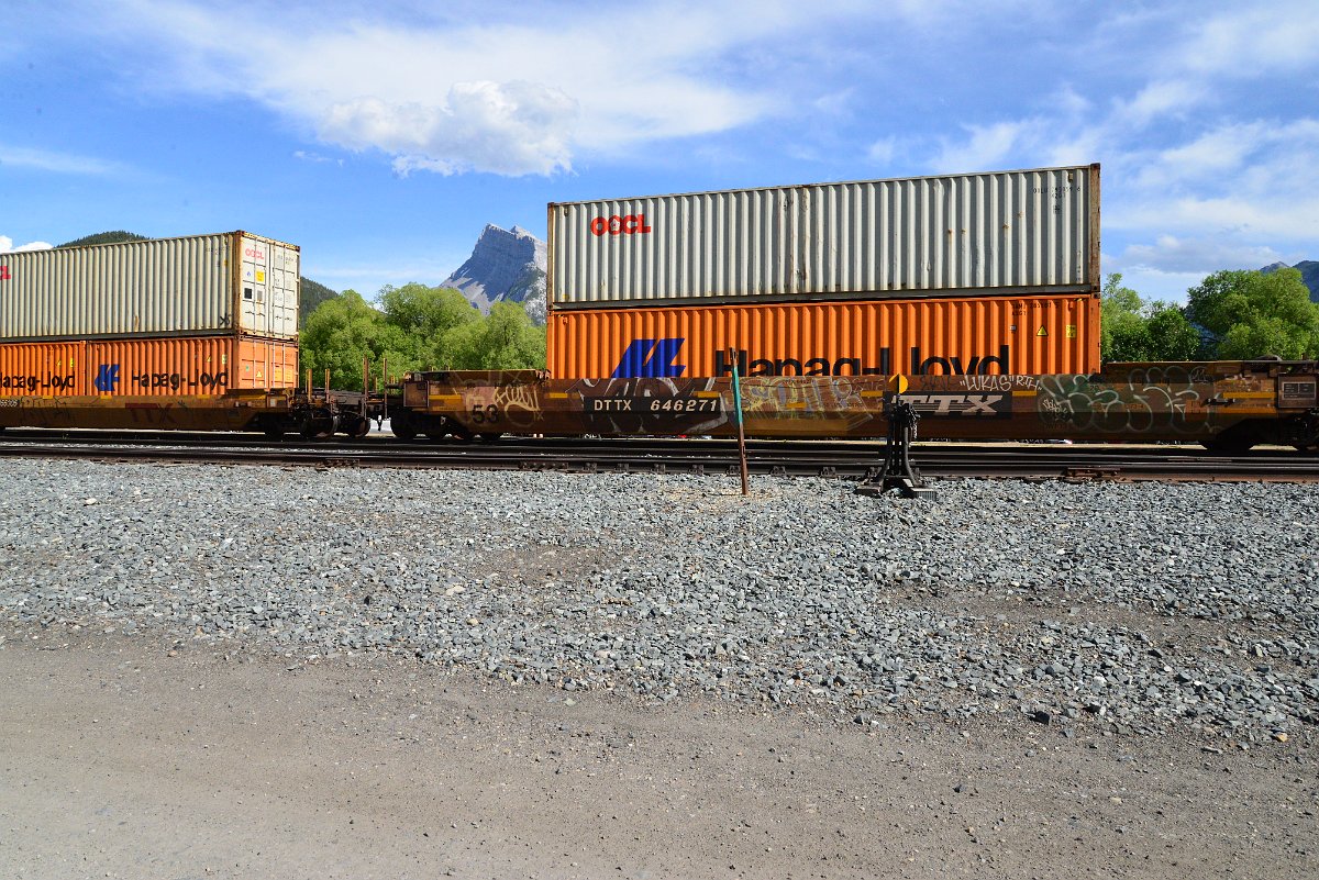 DSC_2598.JPG