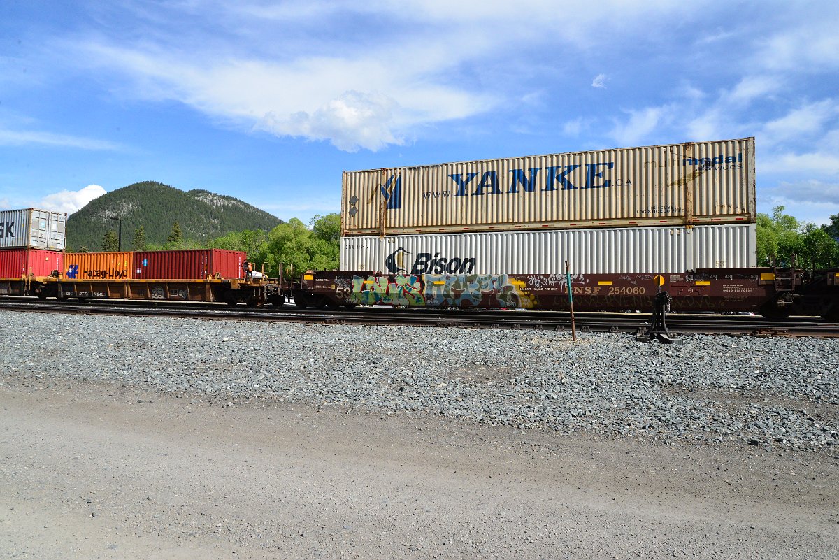DSC_2679.JPG