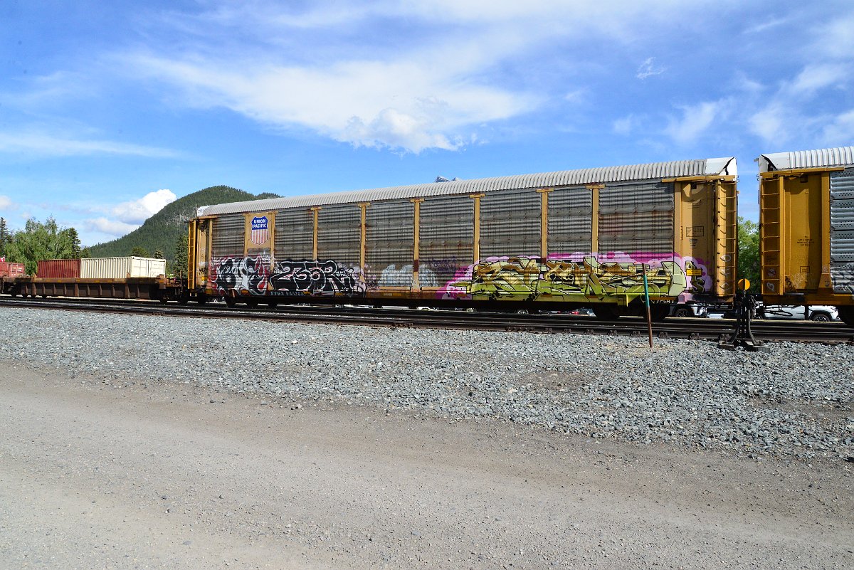 DSC_2724.JPG