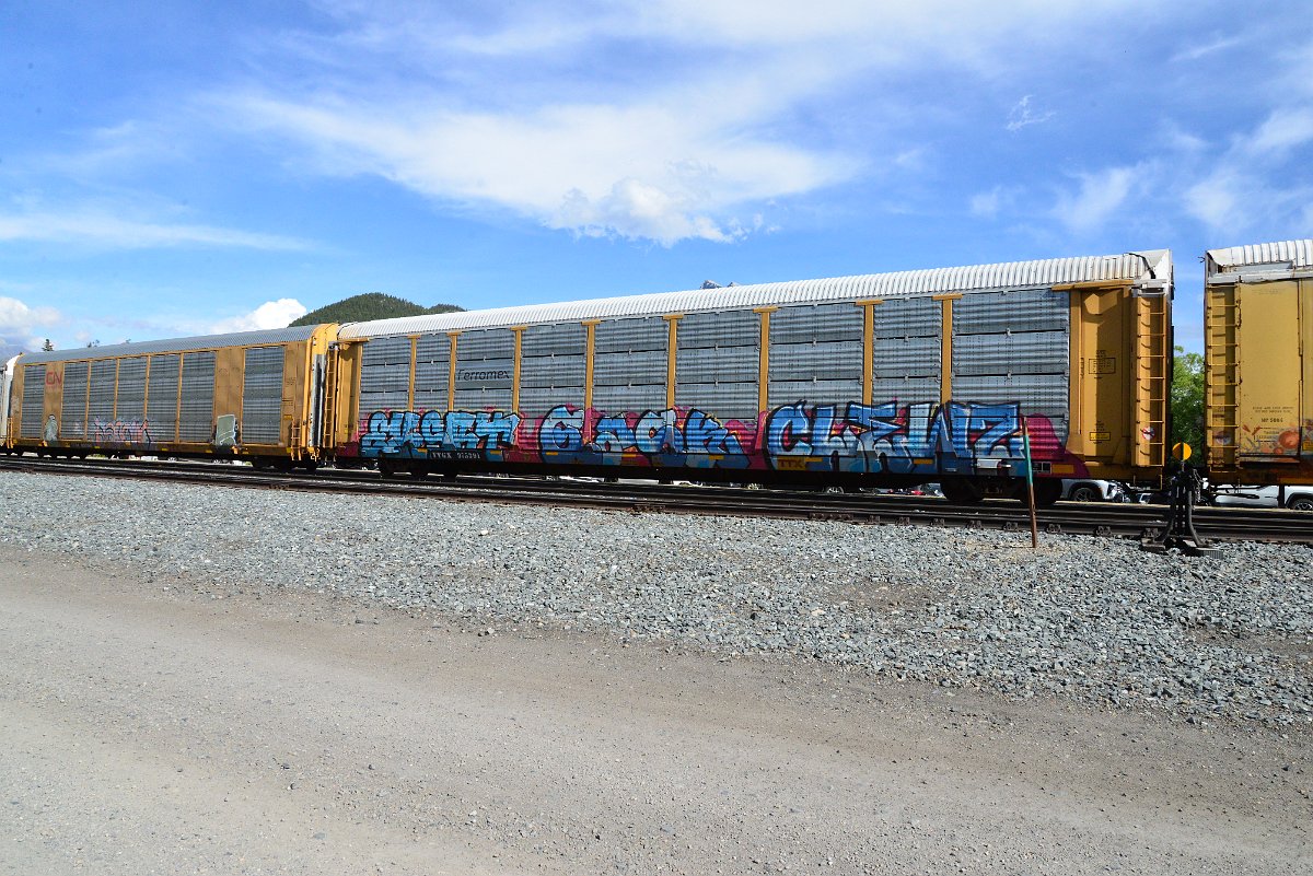 DSC_2729.JPG
