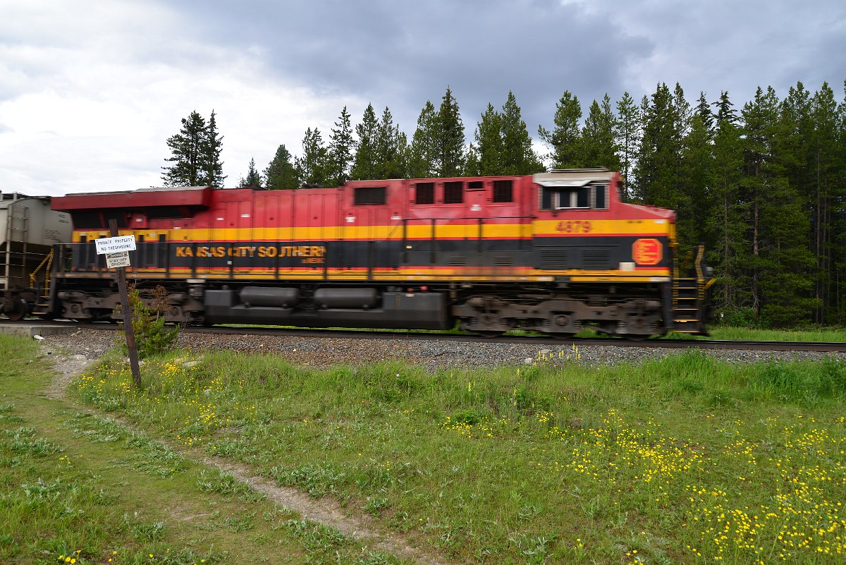 DSC_2807.JPG