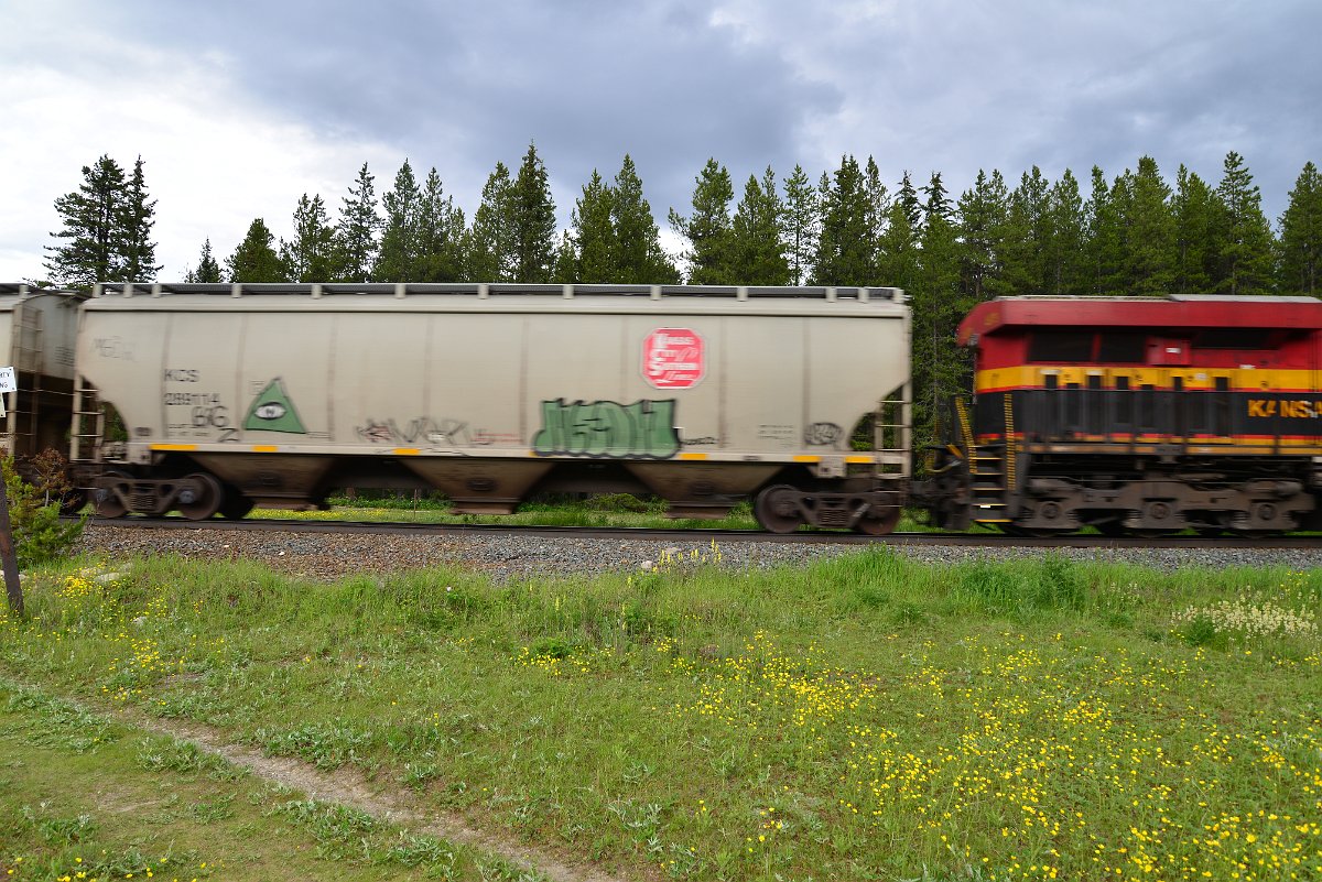 DSC_2808.JPG