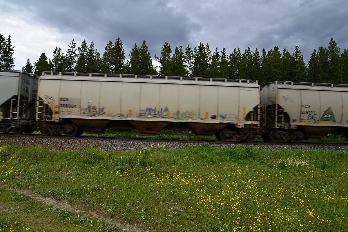 DSC_2809.JPG