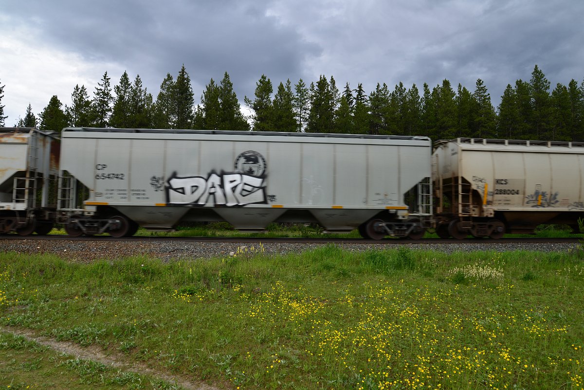 DSC_2810.JPG
