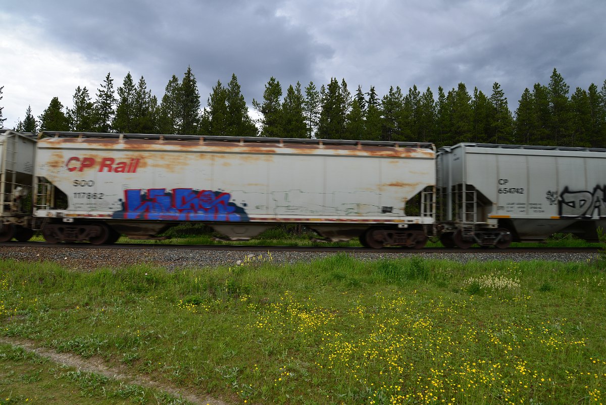 DSC_2811.JPG