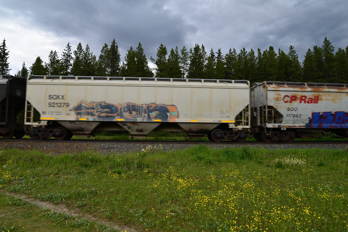 DSC_2812.JPG