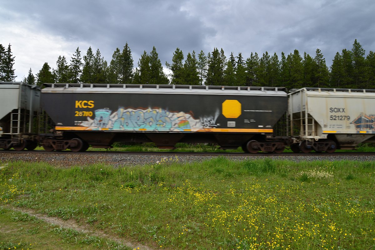 DSC_2813.JPG