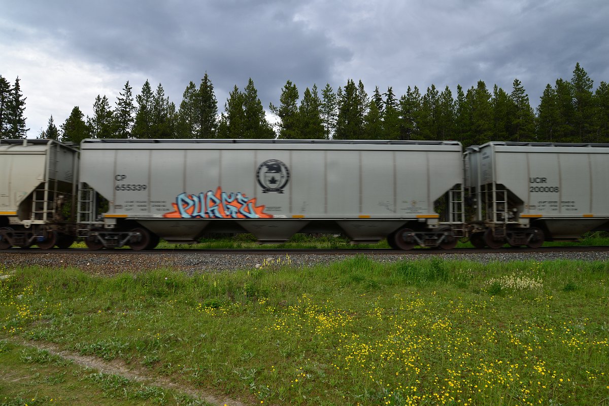 DSC_2815.JPG
