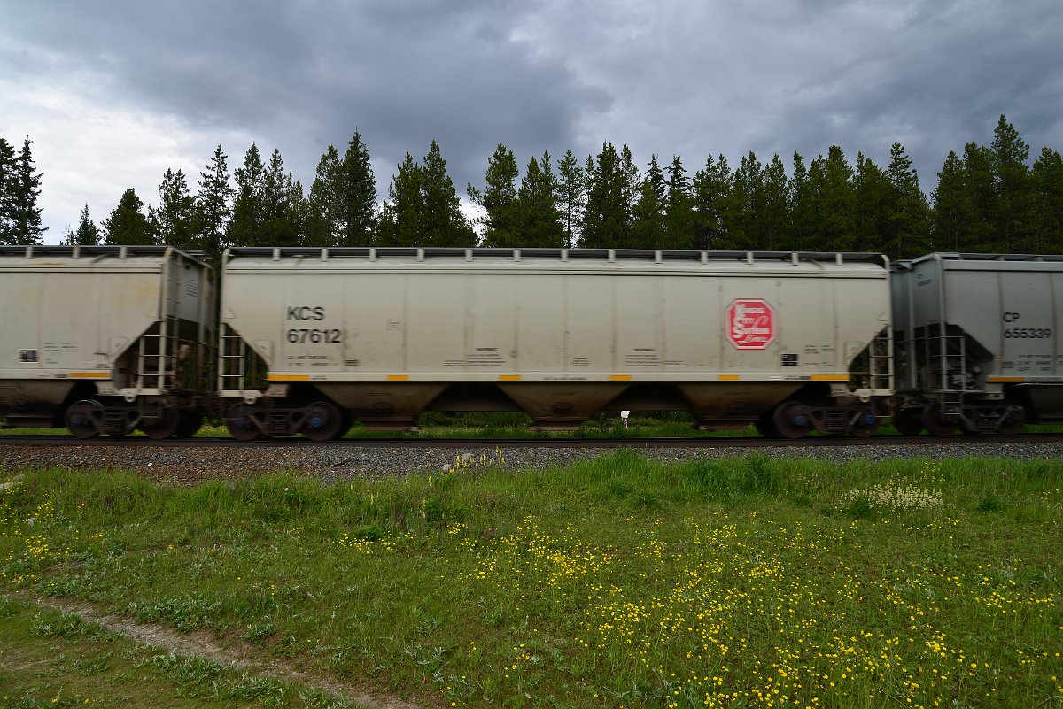 DSC_2816.JPG