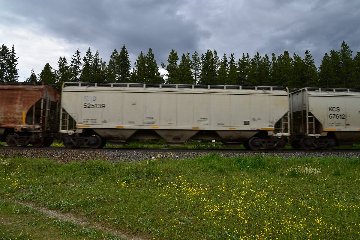 DSC_2817.JPG