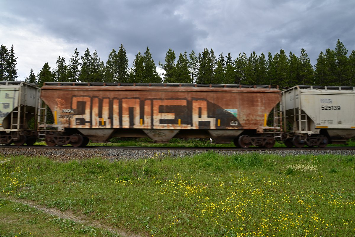 DSC_2818.JPG