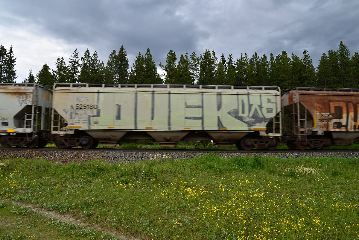 DSC_2819.JPG