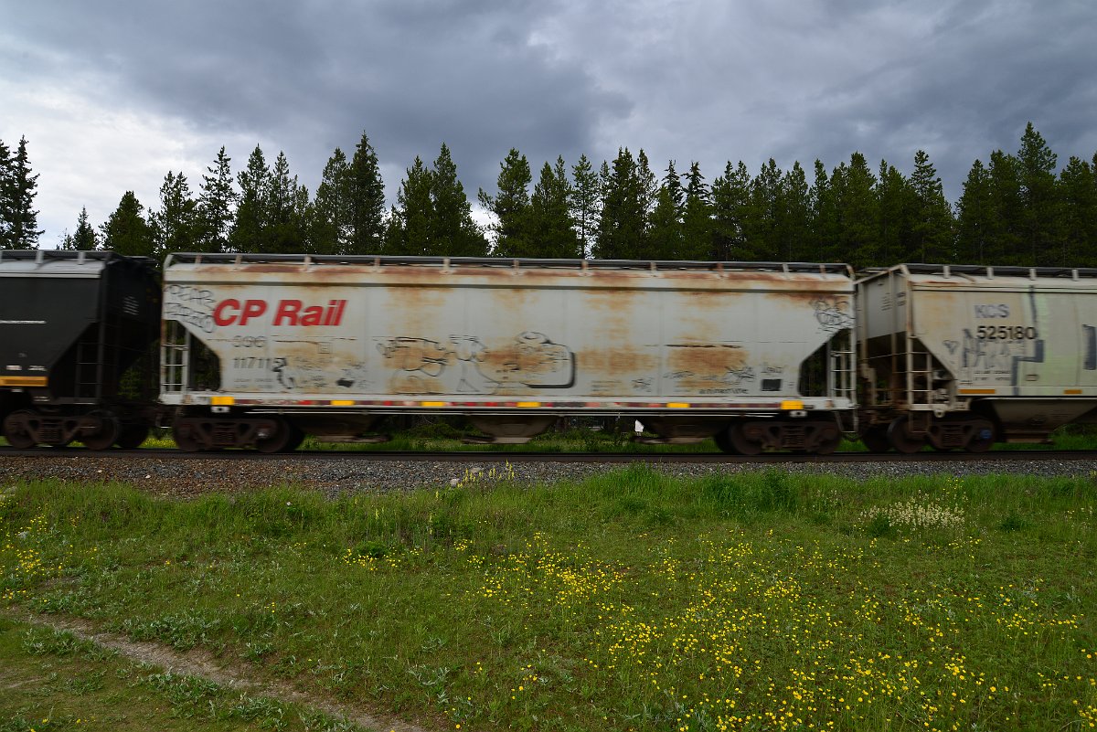 DSC_2820.JPG