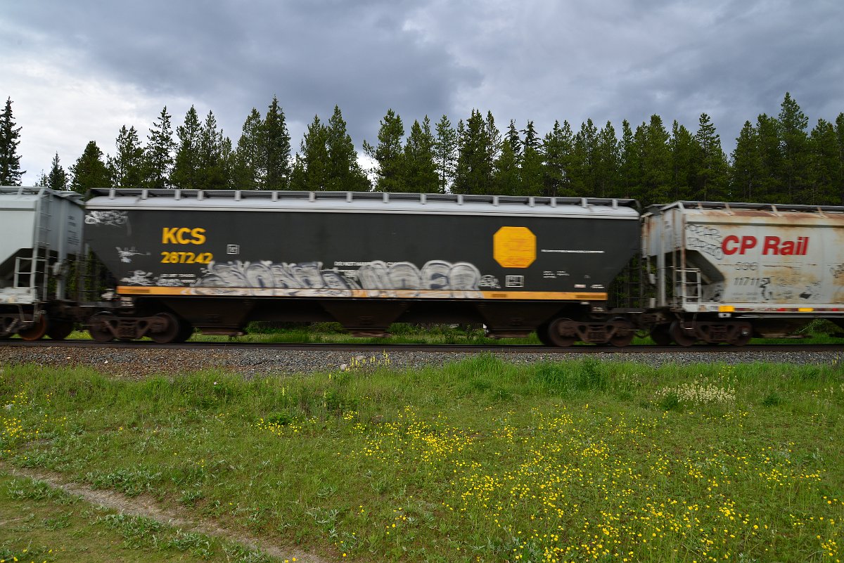 DSC_2821.JPG