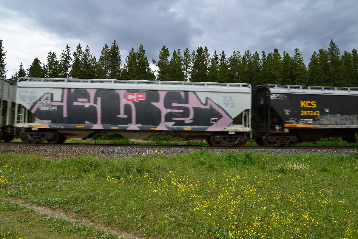 DSC_2822.JPG