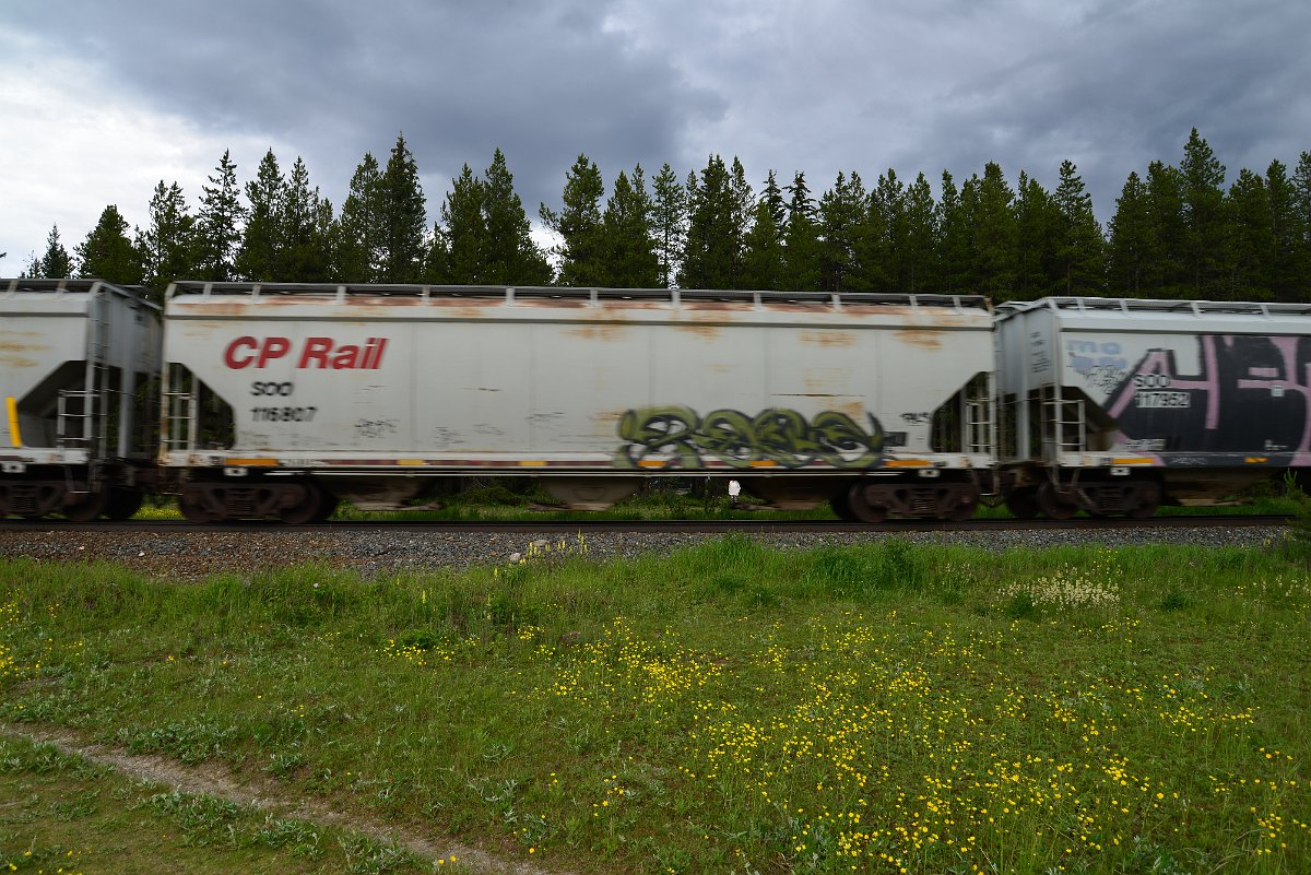DSC_2823.JPG
