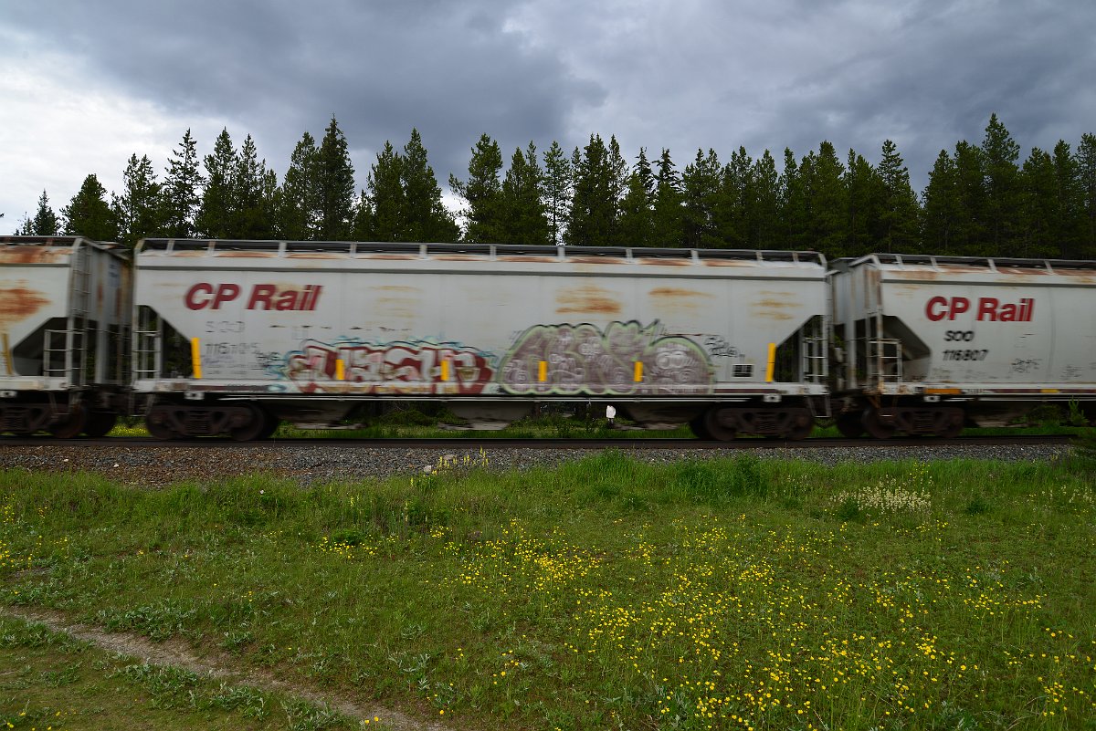 DSC_2824.JPG