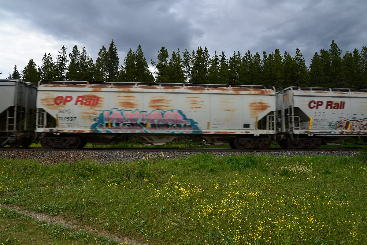 DSC_2825.JPG